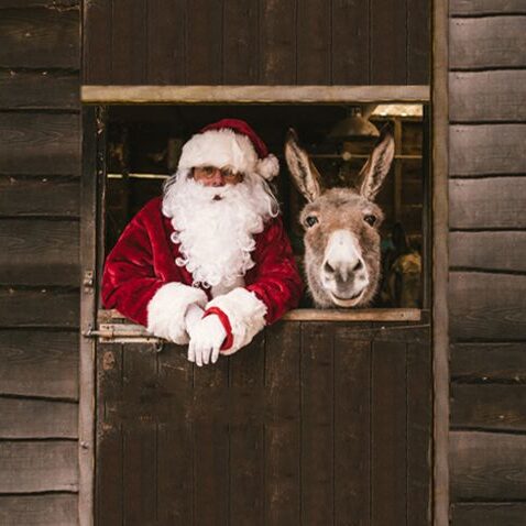 The Big Christmas Show Donkey with Santa